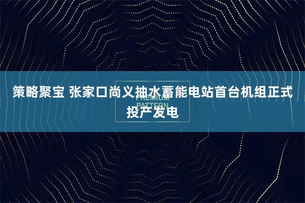 策略聚宝 张家口尚义抽水蓄能电站首台机组正式投产发电