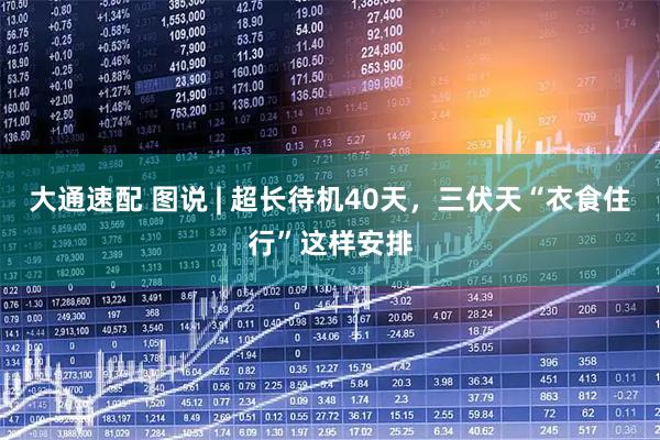 大通速配 图说 | 超长待机40天，三伏天“衣食住行”这样安排